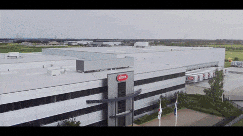 Altrex GIF-downsized